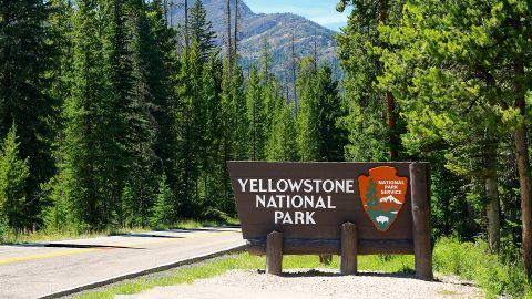 Yellowstone Park Entrance